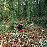 hedging  